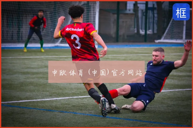 中欧 体育 (中国)官方网站