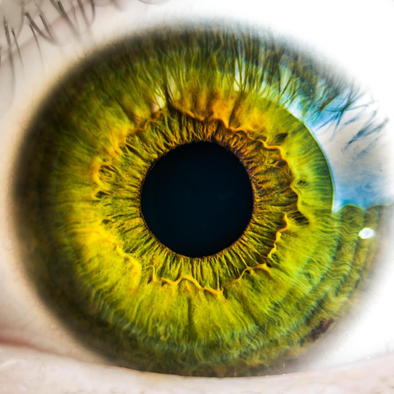 home inspector eye, eyeball, green